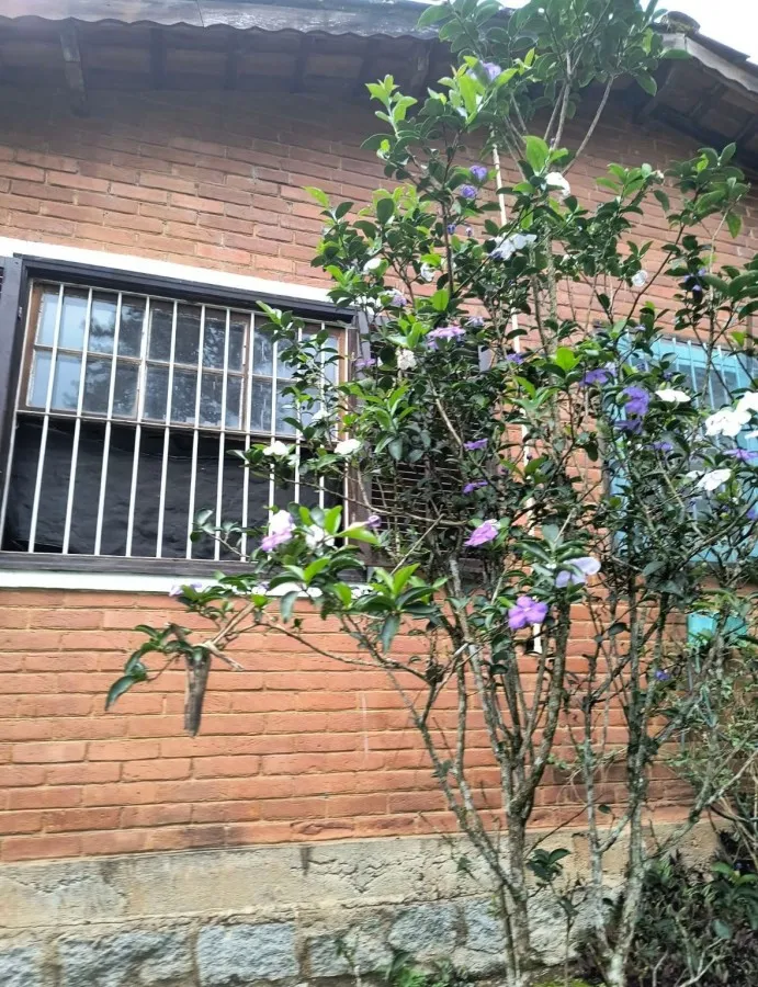 Sítio à venda, Resende — foto 9