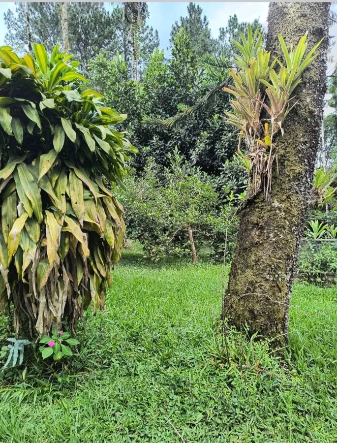 Sítio à venda, Resende