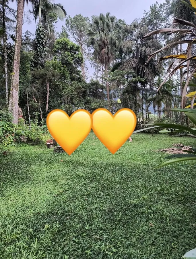 Sítio à venda, Resende — foto 16