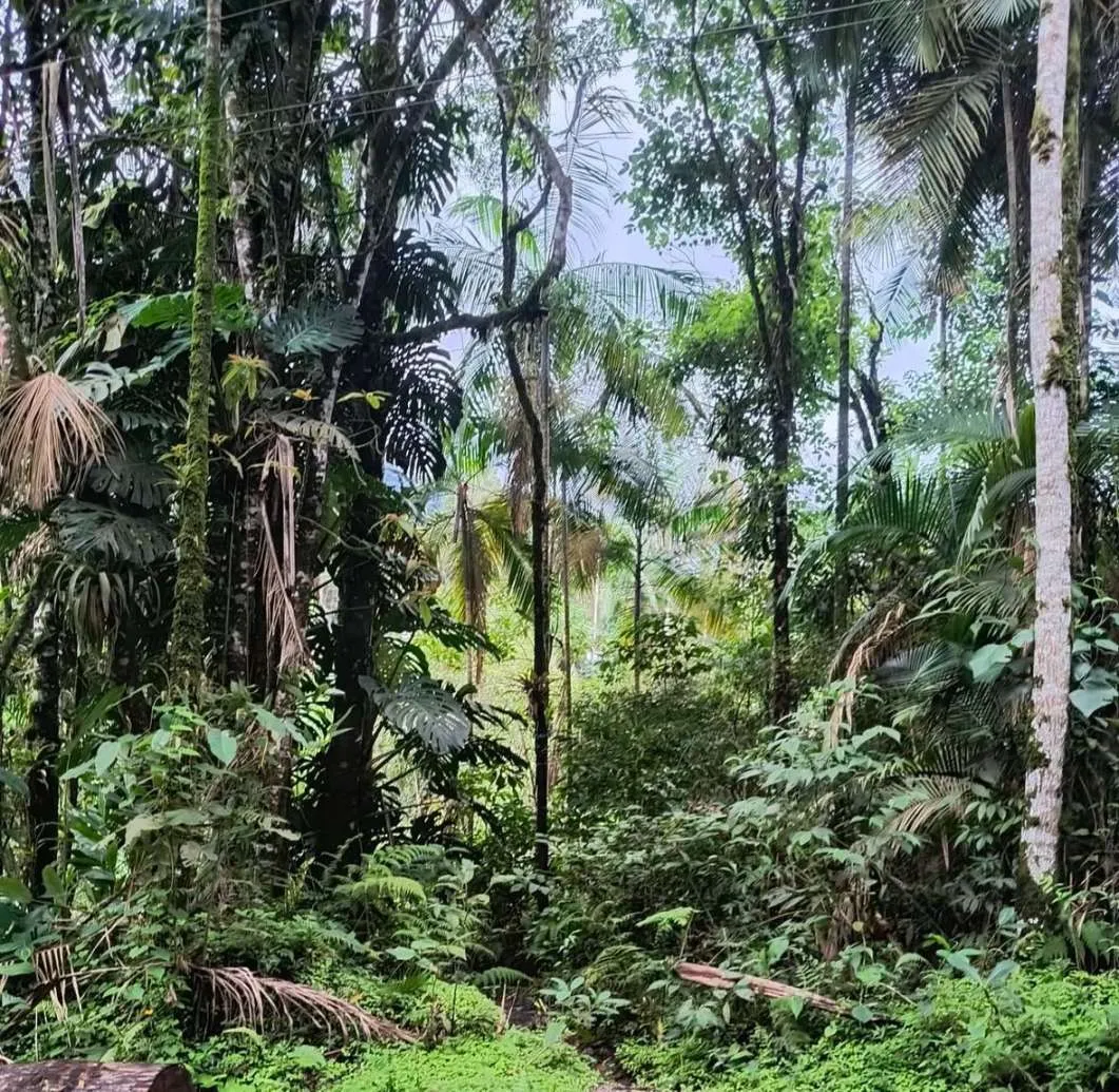 Sítio à venda, Resende